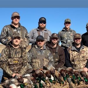 Meet your Posher, Brock